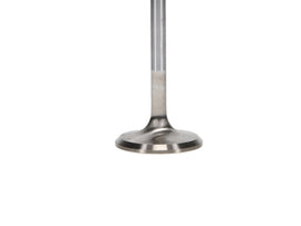 Manley Ford 4.6L 34mm Diameter 117.35mm Length Race Master Exhaust Valves (Set of 8) - GTR Auto