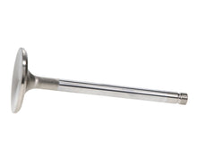 Load image into Gallery viewer, Manley Volkswagen 1.2L Type I Intake Valve Kit - 42.00mm Head Dia. 4.405in O/A Length, 0.3130in Stem