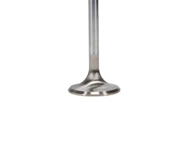 Manley Ford Racing Cylinder Head 4.6L & 5.4L SOHC 36.0mm Race Master Exhaust Valves *Set of 8* - GTR Auto
