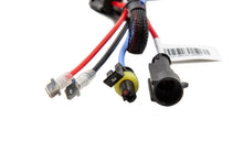 Load image into Gallery viewer, Diode Dynamics HID Bulb D2H 8000K (Pair)