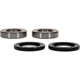 Pivot Works Kawasaki Wheel Bearing Kit Premium Bearings