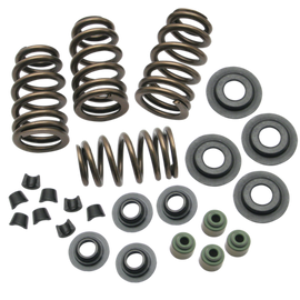 S&S Cycle 04-19 XL Valve Spring Kit - .650in