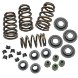 S&S Cycle 04-19 XL Valve Spring Kit - .650in