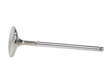 Load image into Gallery viewer, Manley 92-00 Acura Integra / 99-00 Honda Civic 16 Valve 33.0mm Race Flo F/F Intake Valve (SINGLE) - GTR Auto