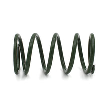 Load image into Gallery viewer, EPI 24+ Polaris RZR XP/4 / Xpedition XP/ADV Secondary Clutch Spring Green