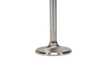Load image into Gallery viewer, Manley Volkswagen 1.2L Type I Intake Valve Kit - 42.00mm Head Dia. 4.405in O/A Length, 0.3130in Stem