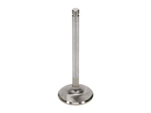 Load image into Gallery viewer, Manley Volkswagen 1.2L Type I Intake Valve Kit - 42.00mm Head Dia. 4.405in O/A Length, 0.3130in Stem