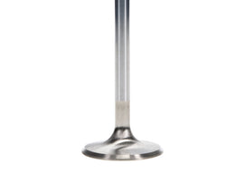 Manley Ford 4.6L DOHC (4 Valve) Triple Groove 37mm Race Master Intake Valves - GTR Auto