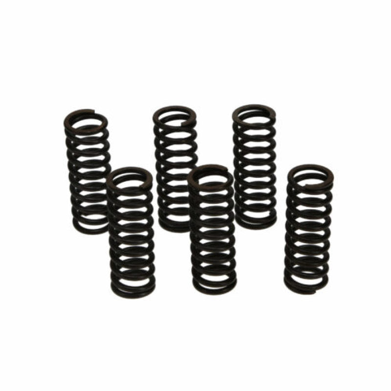 Wiseco CRF450R/XL600/XR650R Clutch Spring Kit