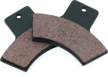 Load image into Gallery viewer, BikeMaster Polaris Brake Pads