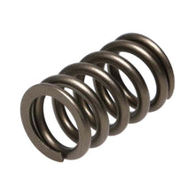 Load image into Gallery viewer, Manley Valve Spring, SPRING-NISSAN PATROL TB48