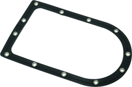 Twin Power 04-08 FXDWG 08-17 FXDF Fuel Pump Plate Seal Viton Replaces H-D 75249-04A