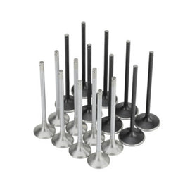 Skunk2 Honda K20C1 Alpha Series Intake & Exhaust Valve Set (Standard Compression)