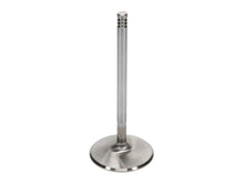 Load image into Gallery viewer, Manley Chrysler Hemi 6.1L w/ Triple Groove 2.100in Race Flo Intake Valves (Set of 8) - GTR Auto