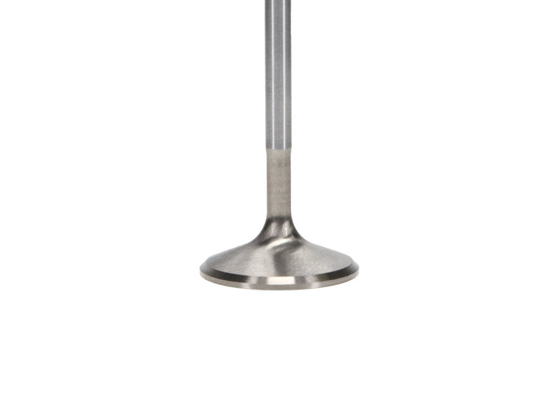 Manley 92-00 Acura Integra / 99-00 Honda Civic 16 Valve 33.0mm Race Flo F/F Intake Valves (Set of 8) - GTR Auto