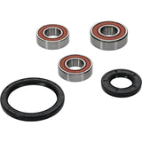 Pivot Works Polaris Wheel Bearing Kit Premium Bearings