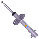 B8 TerraSport - Suspension Strut Assembly