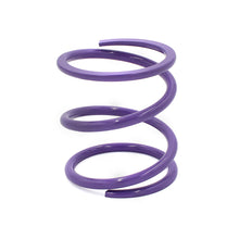 Load image into Gallery viewer, EPI 24+ Polaris RZR XP 1000/ Xpedition XP/ADV Primary Clutch Spring Purple