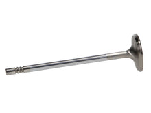 Load image into Gallery viewer, Manley Ford 4.6L 34mm Diameter 117.35mm Length Race Master Exhaust Valves (Set of 8)