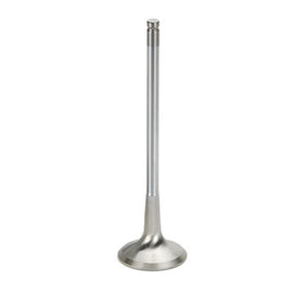 Supertech SB Chevy 1.625x.341x5.010in Chrome Undercut Exhaust Valve - Single (Drop Ship Only)