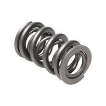 Load image into Gallery viewer, Manley Valve Spring, SPRING-1.324 DOUBLE