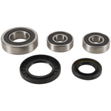 Pivot Works 04-05 Kawasaki KLV1000 (Euro) Rear Wheel Bearing Kit