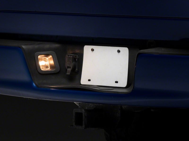 Raxiom 02-10 Dodge RAM 1500/2500 Axial Series OE Replacement License Plate Lamps