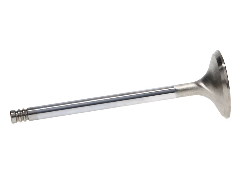 Manley Chrysler Hemi 6.1L w/ Triple Groove 1.625in Race Master Exhaust Valves (Set of 8) - GTR Auto