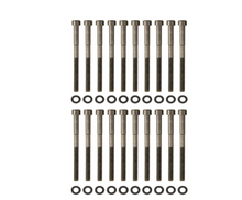 Load image into Gallery viewer, User 1