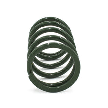 Load image into Gallery viewer, EPI 24+ Polaris RZR XP/4 / Xpedition XP/ADV Secondary Clutch Spring Green