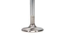 Load image into Gallery viewer, Manley Oldsmobile 330 Exhaust Valve Kit - 1.710in Head Dia. 4.668in O/A Length, 0.3415in Stem