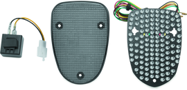 BikeMaster 99-03 Yamaha XV1600 Road Star Integrated Tail Light