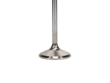 Load image into Gallery viewer, Manley Ford 4.6L Modular V8 Exhaust Valve Kit - 38.50mm Head Dia. 4.585in O/A Length, 0.2345in Stem