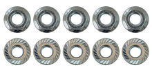 Load image into Gallery viewer, Moroso 5/16in-24 Serrated Zinc Flange Nut  - 10 Pack