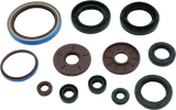 QuadBoss 09-10 Arctic Cat 1000 TRV Oil Seal Set