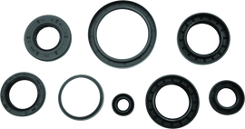 QuadBoss 12-14 Arctic Cat 550 4x4 EFI Oil Seal Set