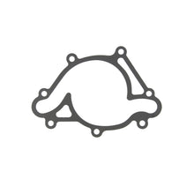 Load image into Gallery viewer, Photo - Primary