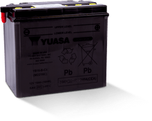 Load image into Gallery viewer, Yuasa YB16-B-CX Yumicron CX 12 Volt Battery