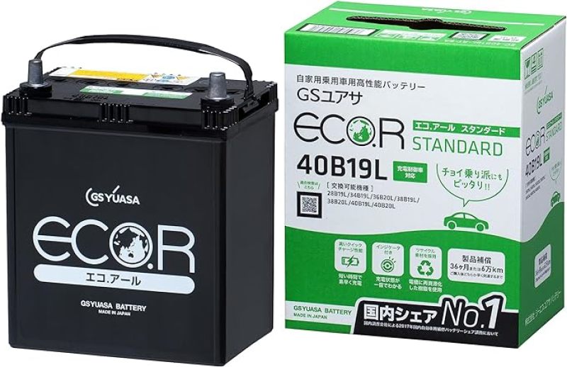 Yuasa 40B19L/SY-B19L/36B20L Import Specialty 12-Volt Battery