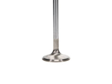 Load image into Gallery viewer, Manley Dodge 8.0L Viper V10 Exhaust Valve Kit - 1.600in Head Dia. 5.97mm O/A Length, 0.3110in Stem