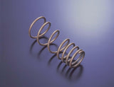 Tein 02-06  Altima H. Tech Springs