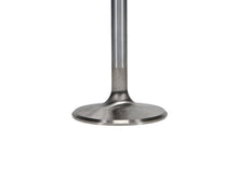 Load image into Gallery viewer, Manley Chevrolet Small Block Intake Valve Kit - 2.055in Head Dia. 4.911in O/A Length, 0.3415in Stem