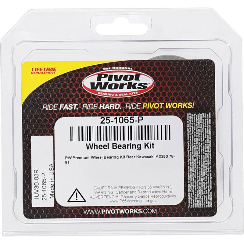 Pivot Works Kawasaki Wheel Bearing Kit Premium Bearings