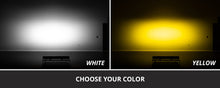 Load image into Gallery viewer, Diode Dynamics 4Runner 2025 TRD Pro Grille SS20 Sport White Combo