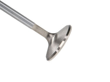 Load image into Gallery viewer, Manley Toyota 4AG Atlantic Intake Valve Kit - 32.00mm Head Dia. 99.60mm O/A Length, 0.2362in Stem
