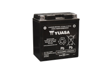 Load image into Gallery viewer, Yuasa YTX20CH Maintenance Free AGM 12-Volt Battery