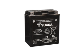 Yuasa YTX20CH Maintenance Free AGM 12-Volt Battery