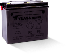 Load image into Gallery viewer, Yuasa YB16-B Yumicron 12-Volt Battery