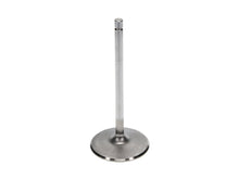 Load image into Gallery viewer, Manley Chevrolet Big Block Intake Valve Kit - 2.300in Head Dia. 5.244in O/A Length, 0.3110in Stem