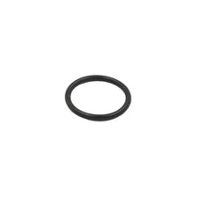 Load image into Gallery viewer, EPI 14-19 Can-Am 800/1000 Commander Differential Bearing/Seal Kit